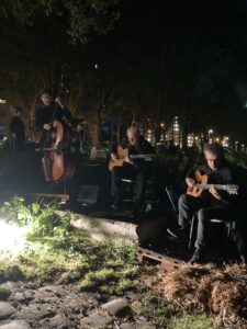 Swing guitar